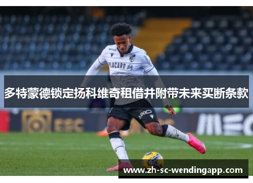 多特蒙德锁定扬科维奇租借并附带未来买断条款