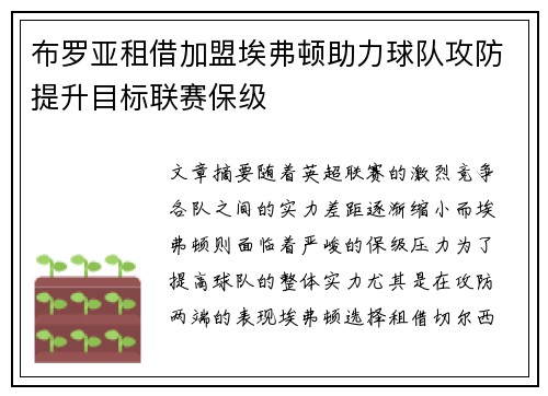 布罗亚租借加盟埃弗顿助力球队攻防提升目标联赛保级 布罗亚租借加盟埃弗顿助力球队攻防提升目标联赛保级